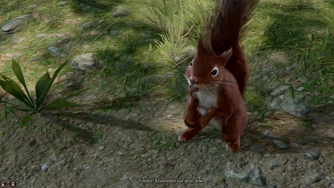Image of the player speaking to Timber the squirrel in Baldur's Gate 3