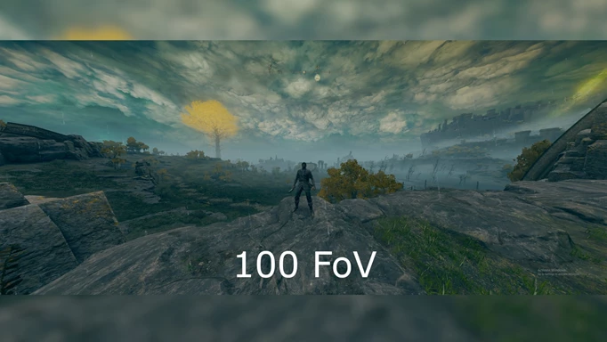 Image of the Elden Ring FOV mod with it set to 100 FOV