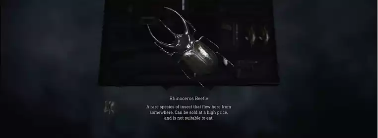Where to find Rhinoceros Beetles in the Resident Evil 4 Remake