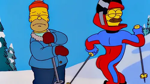Stupid Sexy Flanders The Simpsons
